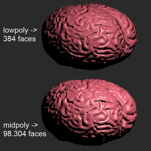 Lowpoly Brain preview image